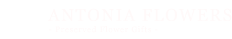 オールドローズ紹介 トリオンフ・デュ・リュクサンブール　プリザーブドフラワーギフトANTONIA FLOWERS アントーニアフラワーズ