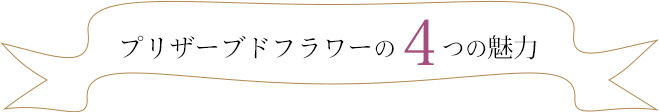 楽屋花に使えるプリザーブドフラワーギフトの４つの魅力